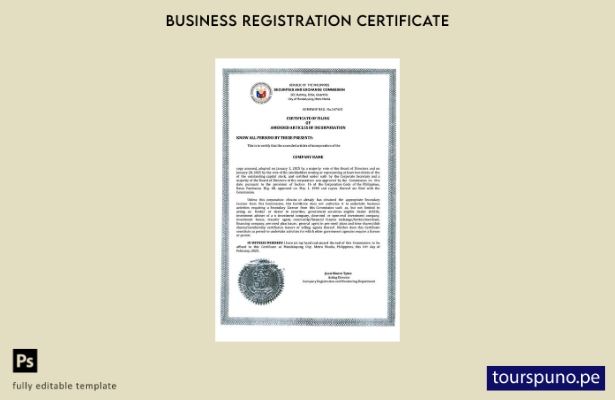 listo para imprimir certificado de constitución de empresa de Filipinas Planti 1